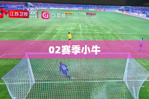 02赛季小牛