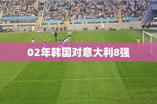 02年韩国对意大利8强 02年韩国对意大利8强