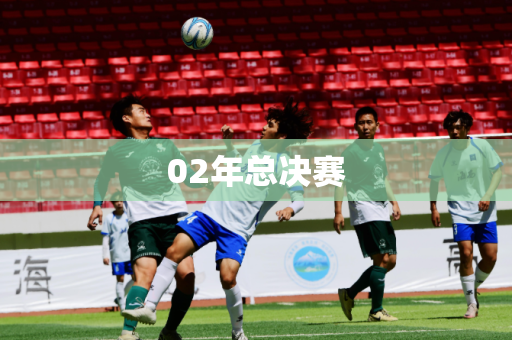 02年总决赛 02年总决赛