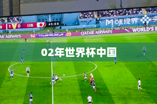 02年世界杯中国 02年世界杯中国