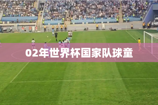 02年世界杯国家队球童