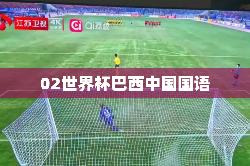 02世界杯巴西中国国语