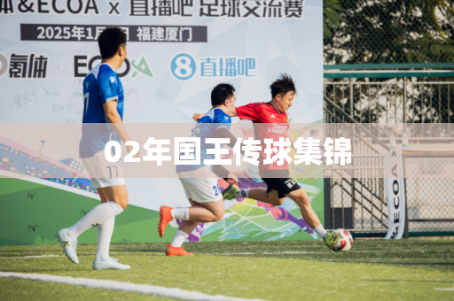 02年国王传球集锦 02年国王传球集锦