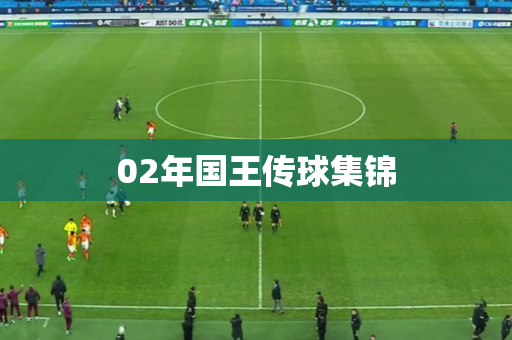 02年国王传球集锦