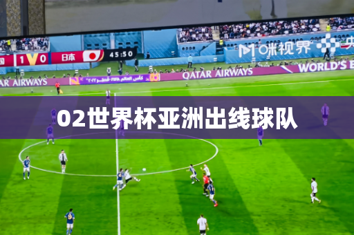 02世界杯亚洲出线球队