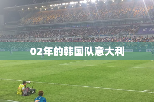 02年的韩国队意大利 02年的韩国队意大利