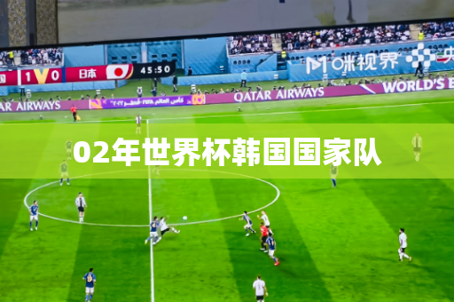 02年世界杯韩国国家队 02年世界杯韩国国家队