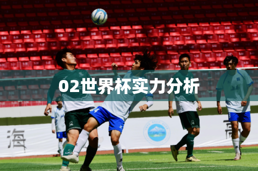02世界杯实力分析 02世界杯实力分析