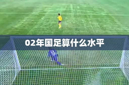02年国足算什么水平 02年国足算什么水平