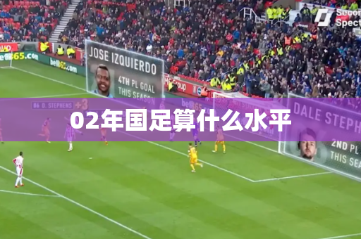 02年国足算什么水平 02年国足算什么水平