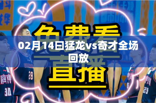 02月14曰猛龙vs奇才全场回放