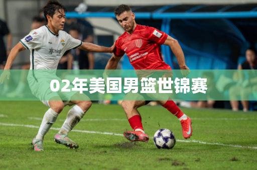 02年美国男篮世锦赛 02年美国男篮世锦赛