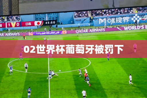 02世界杯葡萄牙被罚下