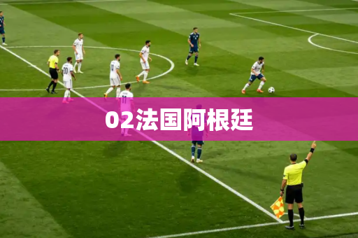 02法国阿根廷 02法国阿根廷