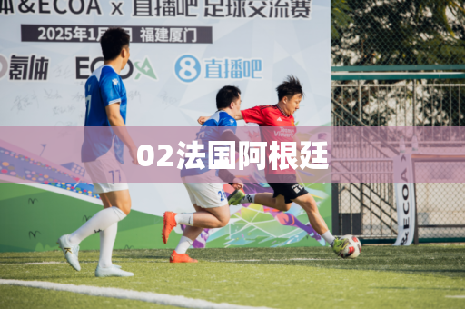 02法国阿根廷