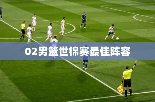 02男篮世锦赛最佳阵容 02男篮世锦赛最佳阵容