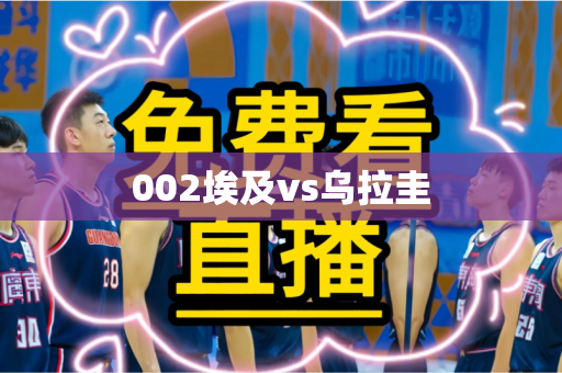 002埃及vs乌拉圭
