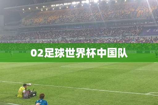 02足球世界杯中国队