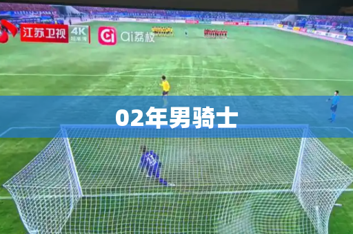 02年男骑士