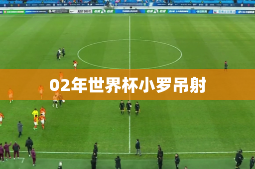 02年世界杯小罗吊射