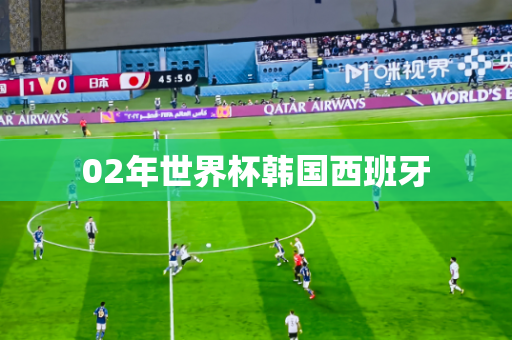 02年世界杯韩国西班牙 02年世界杯韩国西班牙