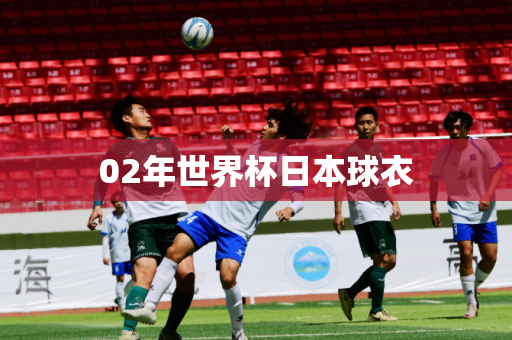 02年世界杯日本球衣 02年世界杯日本球衣