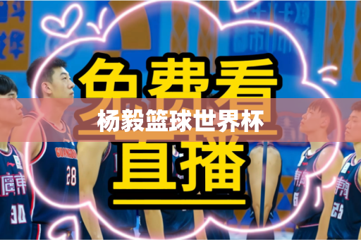 杨毅篮球世界杯