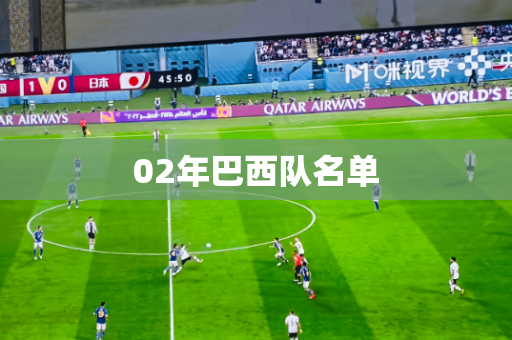 02年巴西队名单