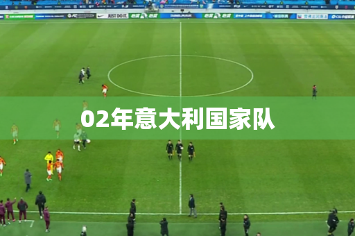 02年意大利国家队 02年意大利国家队
