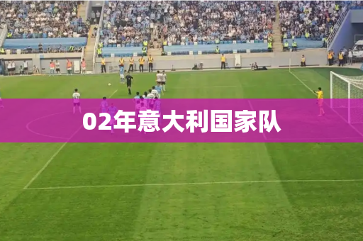 02年意大利国家队 02年意大利国家队