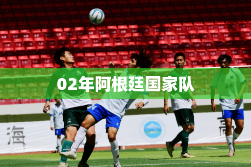 02年阿根廷国家队