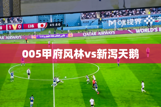 005甲府风林vs新泻天鹅 005甲府风林vs新泻天鹅