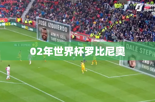 02年世界杯罗比尼奥 02年世界杯罗比尼奥