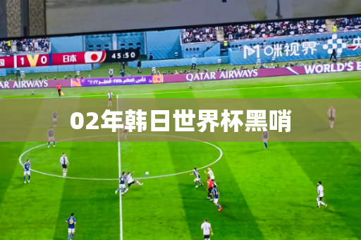 02年韩日世界杯黑哨