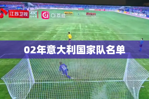02年意大利国家队名单