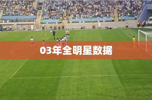 03年全明星数据