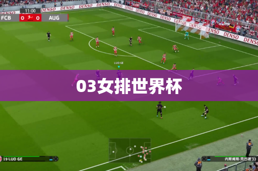 03女排世界杯