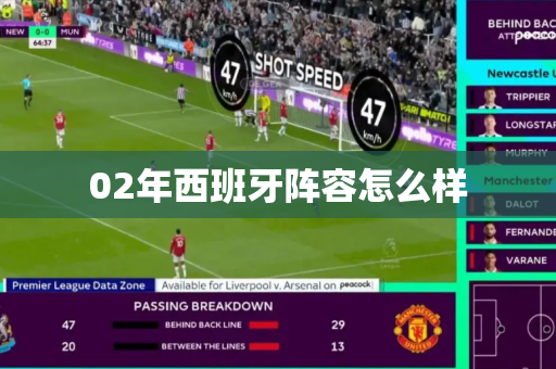 02年西班牙阵容怎么样
