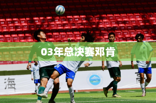 03年总决赛邓肯