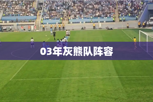 03年灰熊队阵容 03年灰熊队阵容