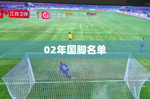 02年国脚名单