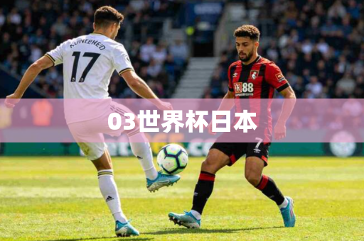 03世界杯日本 03世界杯日本