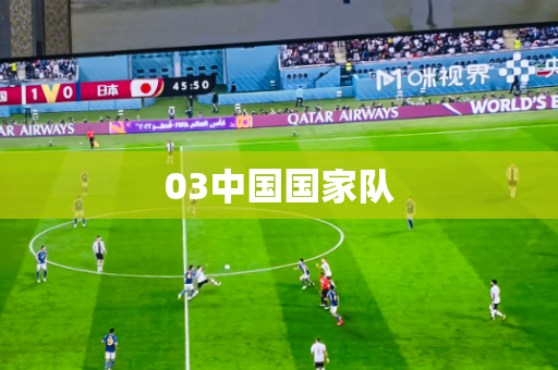 03中国国家队