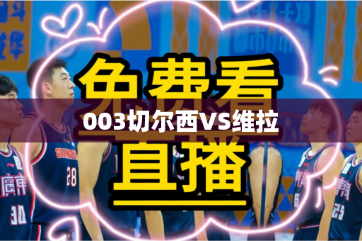 003切尔西VS维拉