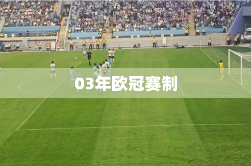 03年欧冠赛制
