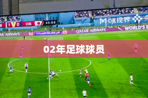 02年足球球员