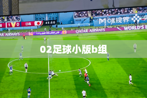 02足球小版b组 02足球小版b组