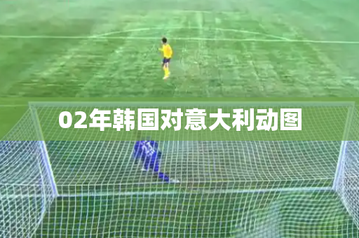 02年韩国对意大利动图