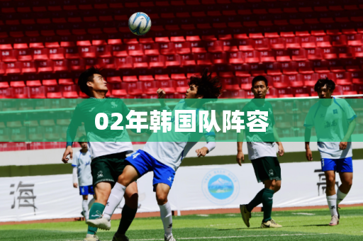02年韩国队阵容 02年韩国队阵容