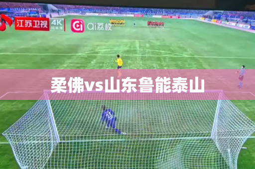 柔佛vs山东鲁能泰山 柔佛vs山东鲁能泰山